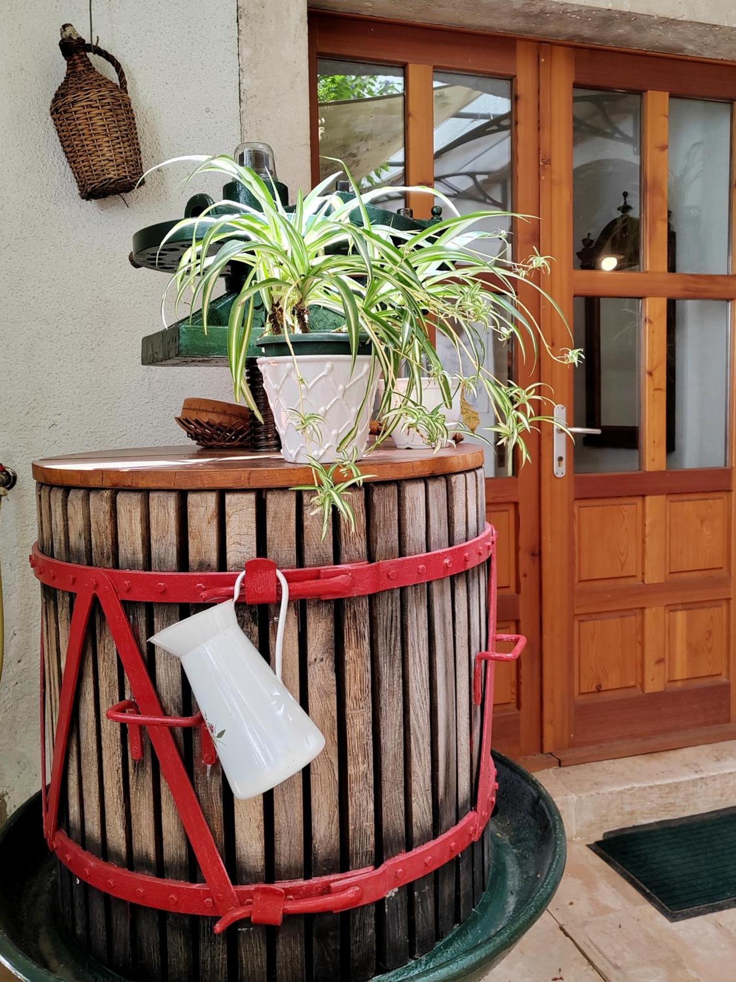 Komiža Apartments Lena מראה חיצוני תמונה